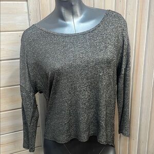 American Eagle Outfitters Gray Boxy Crop Blouse